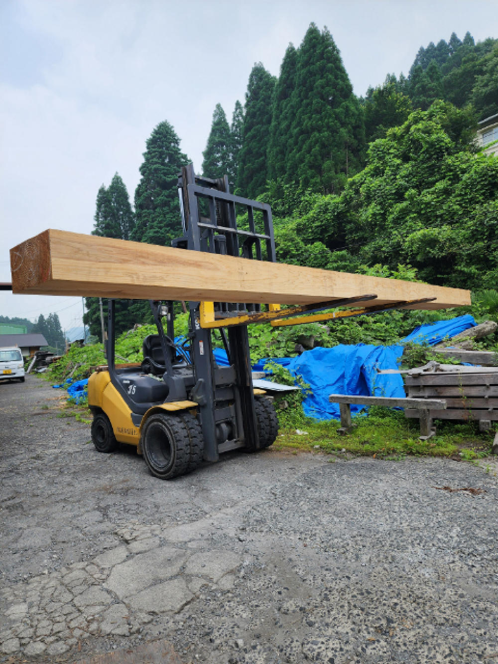 大梁材も製材所へ