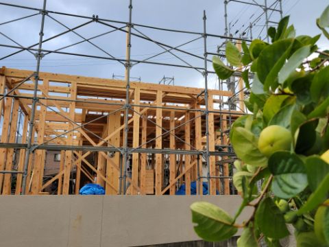 建て方