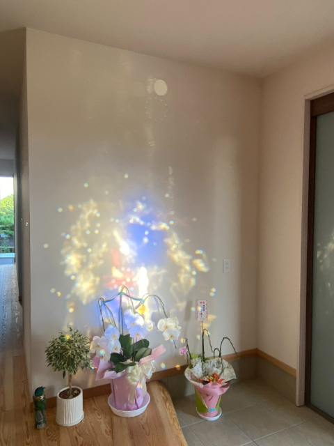 ステンドグラス